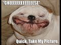youtube thumb