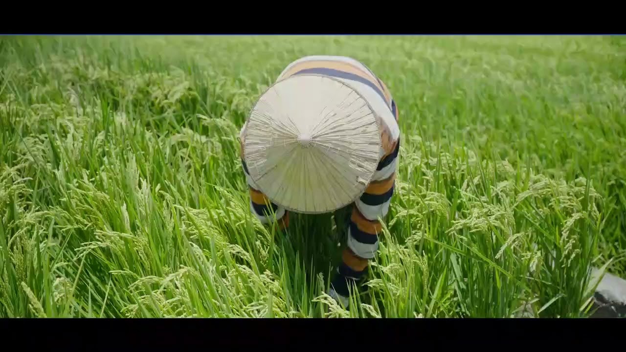產品說明圖片
