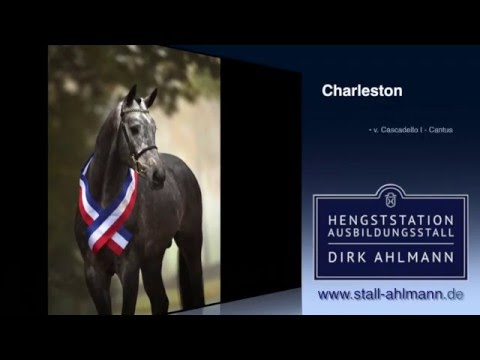 Dirk Ahlmann - Charleston - Hengstpräsentation 2016
