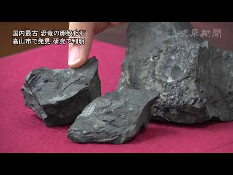 琥珀の中のハチドリの小さな恐竜