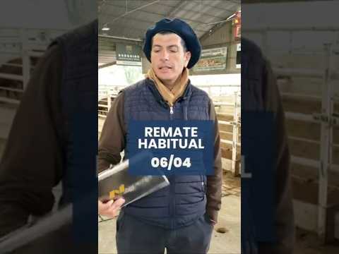 Remate habitual 6/4/2026.