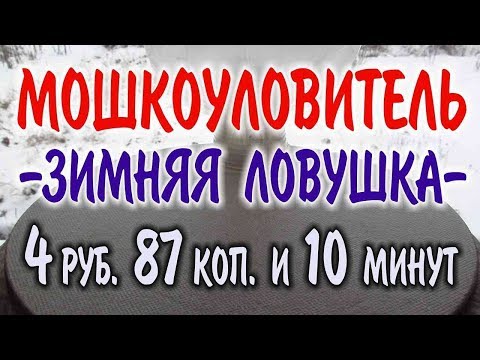 РЫБАЛКА, РАЗВЕДЕНИЕ ЧЕРВЕЙ, ЗИМНЯЯ НАЖИВКА, ЛОВУШКА ДЛЯ МОШКИ, Невидимая проблема.