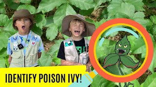 How to Identify Poison Ivy! (Poison Ivy Facts for Kids)