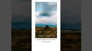 Download lagu Literasi 15 detik - memafkan adalah kemenangan terbaik mp3