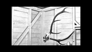 Loops Haunt - Galleon - Black Acre Records