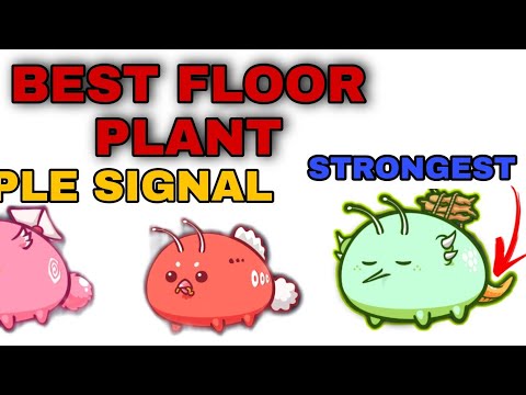 STRONGEST PLANT IN AXIE INFINITY !!! | TRIPLE BUG SIGNAL