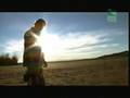 Steve Irwin S Great Escape USA Part 4