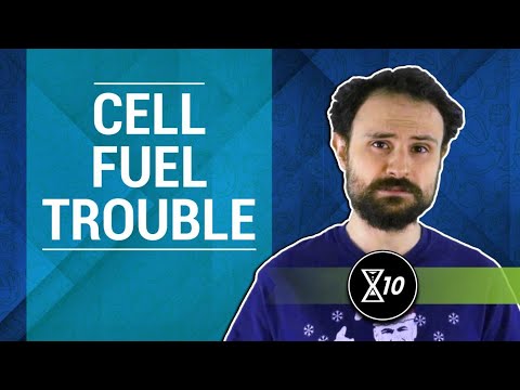 The Hallmarks of Aging: Deregulated Nutrient Sensing | LifeXtenShow