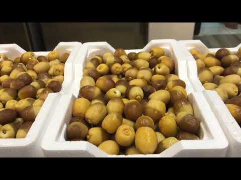 رطب روثانة المدينة عضوية خالية ١٠٠٪؜ من المبيدات والأسمدة الكيميائية- www.ajwafarmsa.com