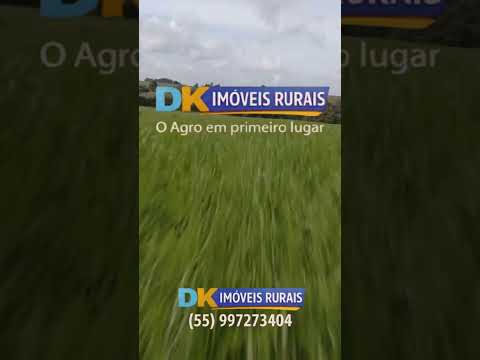 🌾 IJUÍ/RS | EXCELENTE ÁREA À VENDA