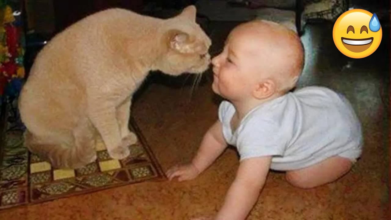 Funny videos with dogs, cats and kittens! 😺 Funny animals on your phone! 🐱 😋 Funniest Animals 2025