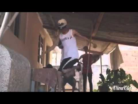 Taz Lucas - FREE STEP/TREINO