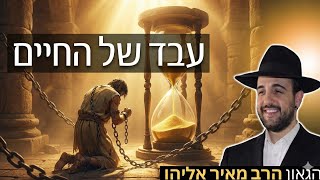 הרב מאיר אליהו | עבד של החיים | מיאמי - ה'תשפ"ו (הרב מאיר אליהו) - התמונה מוצגת ישירות מתוך אתר האינטרנט יוטיוב. זכויות היוצרים בתמונה שייכות ליוצרה. קישור קרדיט למקור התוכן נמצא בתוך דף הסרטון