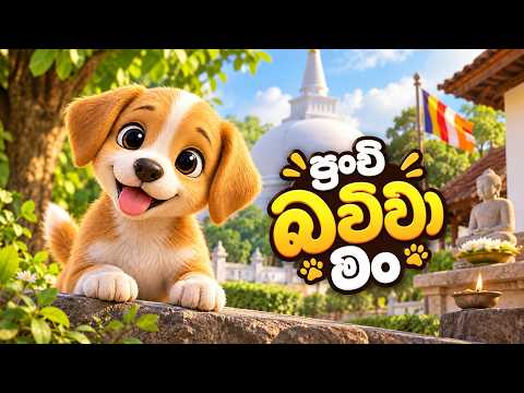 punchi bawwa man පුංචි බව්වා මං | ළමා ගීත | Lama Geetha | Sinhala Kids Song