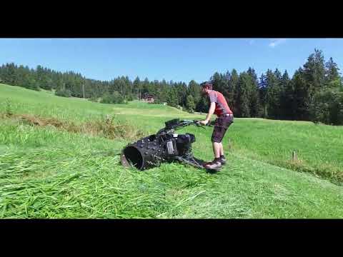 Optionale Mitfahrgelegenheit "Stehwagen" zum Einachser