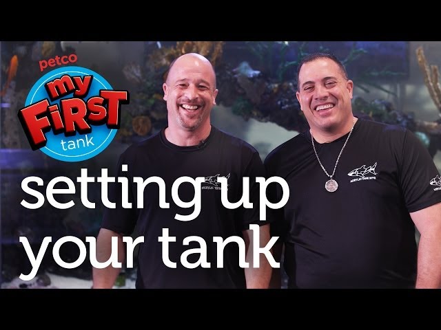 Petco and Animal Planet's Tanked Present: My First Tank - Setting Up Your Tank