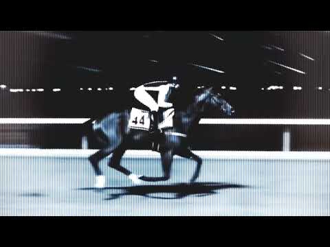 DEZKO FT MARVAL  - RAPIDO (Visualizer)