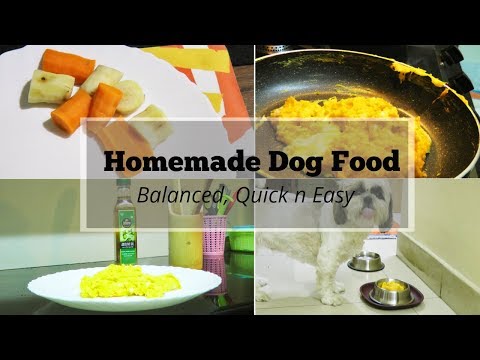 Home Cooked Dog Food Recipe | Home Cooked Meal Recipe For Dogs | Balanced Easy Homemade Dog Food Video