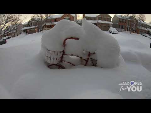 Time-Lapse: March 13-14, 2021 Snowstorm