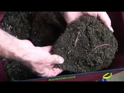 VermiBag  Ep 27     "ANC Secondary Bin Feeding"