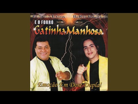 Meu Homem - Gatinha Manhosa