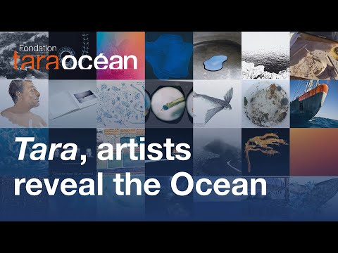 Inside Tara’s Great Expedition: an artistic exploration of the Ocean