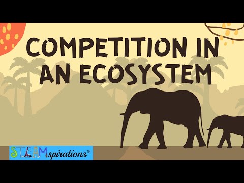 Competition in an Ecosystem| Mutualism, Intraspecific, Interspecific,  Relationships