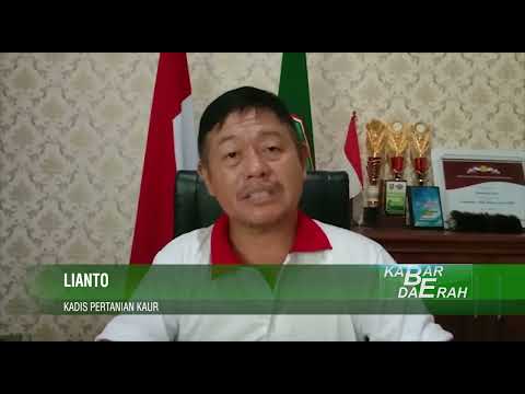 Terserang PMK,Pemilik Ternak Diminta Melapor