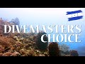 Diving Divemaster's Choice on Roatan