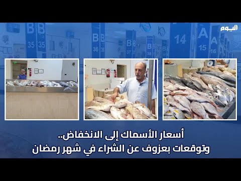 الأسماك في القطيف.. كميات وفيرة وأسعار منخفضة على أبواب رمضان