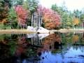 Enya - Willows of the water 