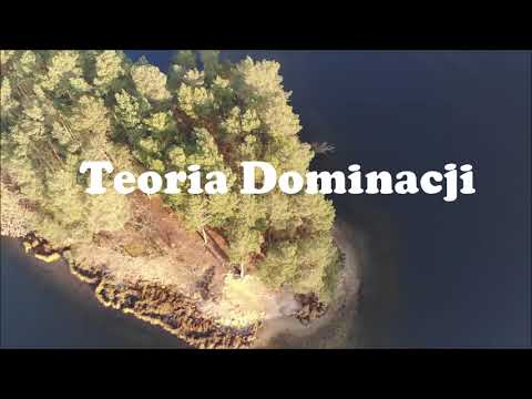 Teoria Dominacji