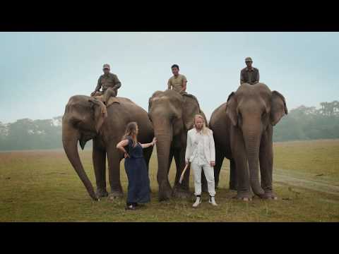 The Hero's Journey to the Third Pole - a Bipolar Musical Documentary with Elephants.