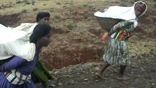 Carrying Load to Market 2.AVI