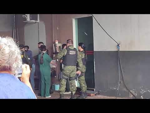 Onça parda surpreende moradores e é capturada no centro de Faxinal