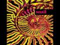 Snail - Chewing Aspirin 