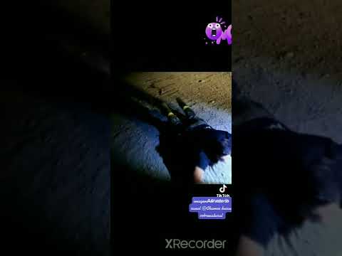 Ele foi derrubado😱