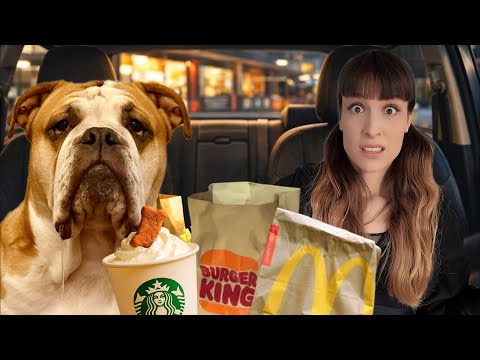 Welcher ist der hundefreundlichste DRIVE THRU Deutschlands?
