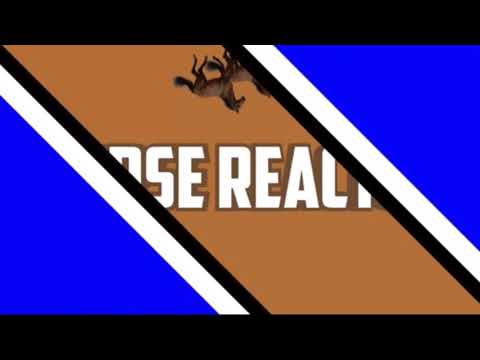 My Reaction To Doncaster Handicap (2016)