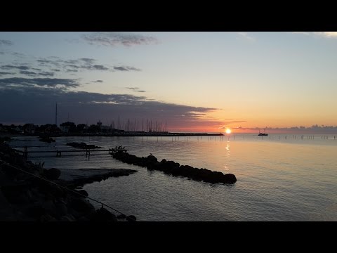 Team Somnium-spodsbjerg 2015