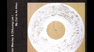 My cat is an alien – Beyond the Limits of the Stars