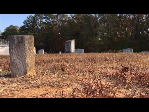 TDW 1597 - Lost Grave of Elvis Twin Brother