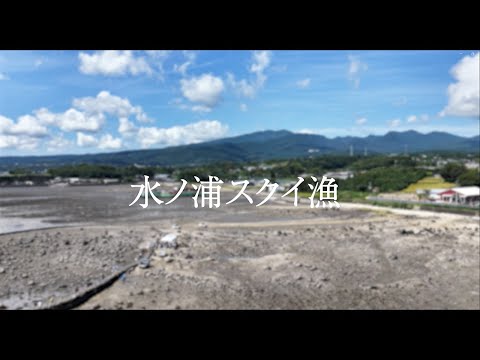 水ノ浦 スクイ漁体験