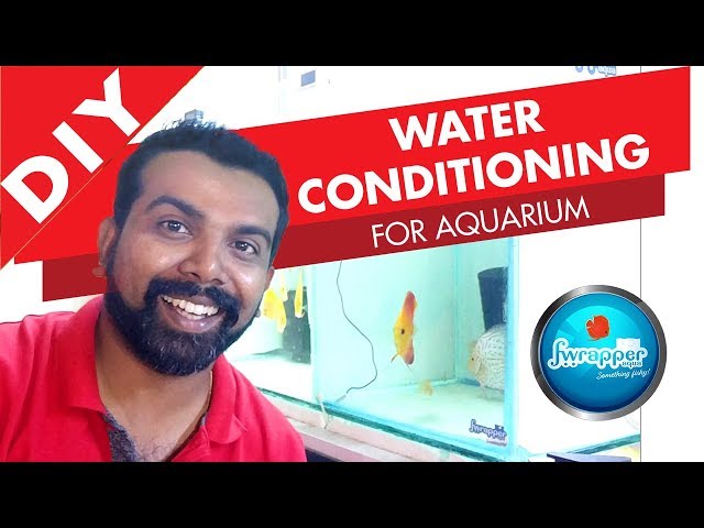 How To Do WATER CONDITIONING For Aquarium || Discus Fish
