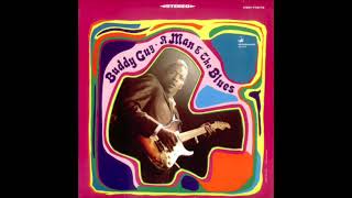 Buddy Guy   One Room Country Shack