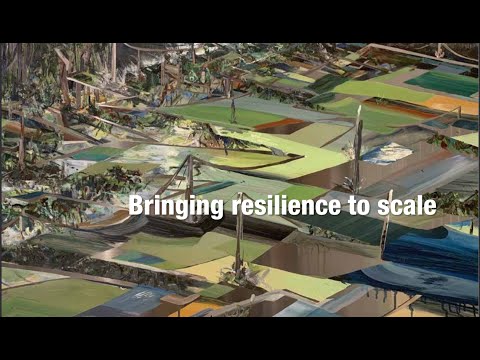 GFDRR Annual Report 2020: Bringing Resilience to Scale