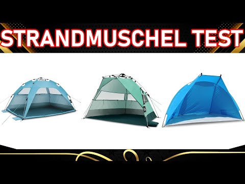 ᐅ Strandmuschel Test 2025 | Top 3 Strandmuscheln