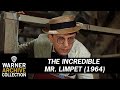 I Wish I Were A Fish The Incredible Mr Limpet Warner Archive