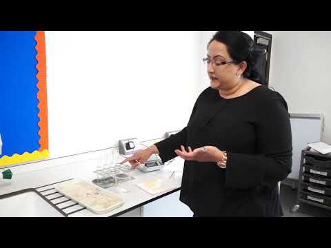 Biology  Osmosis in Potato Slices