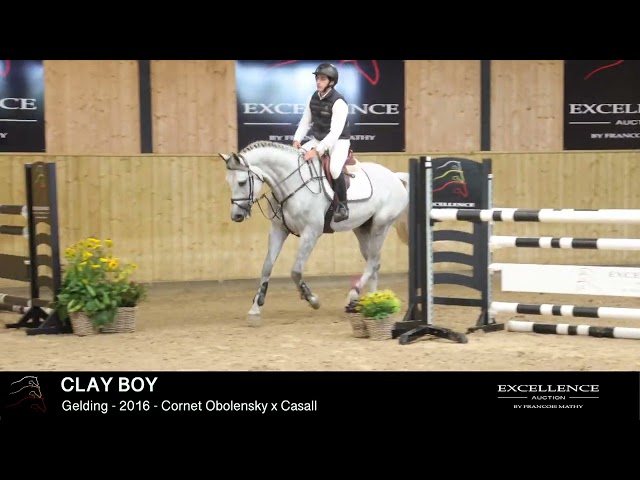 CLAY BOY - Model & dressage